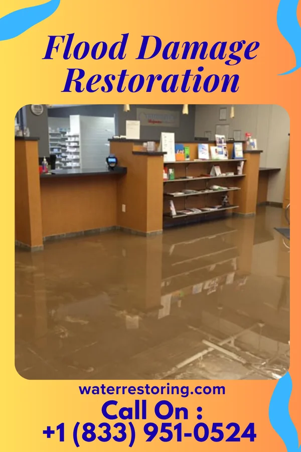 Flood Damage Restoration in Harlingen, TX