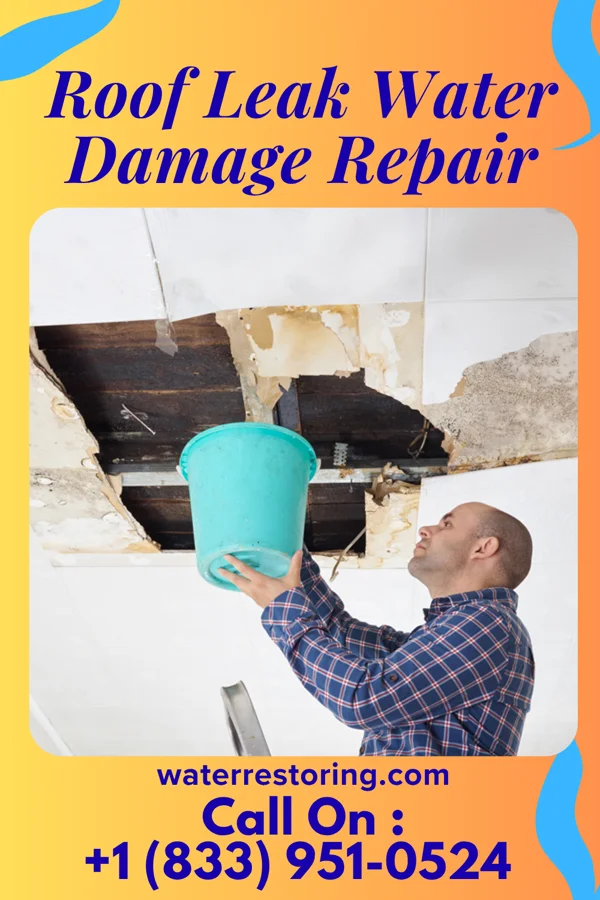 Roof Leak Water Damage Repair in Harlingen, TX